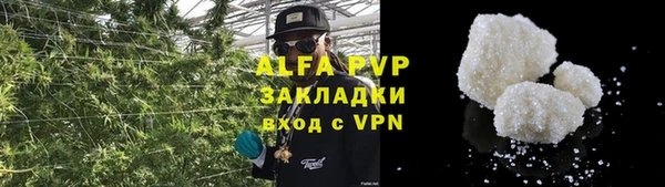 Альфа ПВП Белокуриха