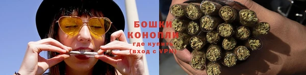 Альфа ПВП Белокуриха