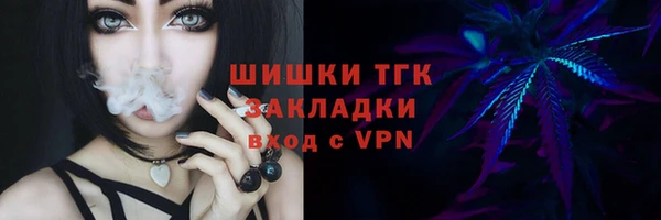Альфа ПВП Белокуриха
