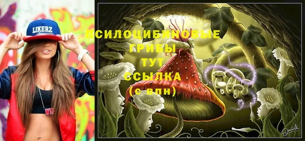 дурь Белоозёрский